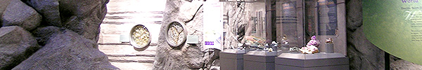 Page caption, or (later) subnavigation related to exhibit design section